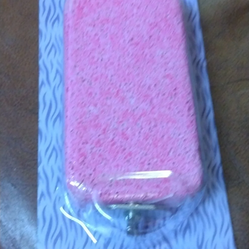 All living things small Animal colorful pumice ledge
